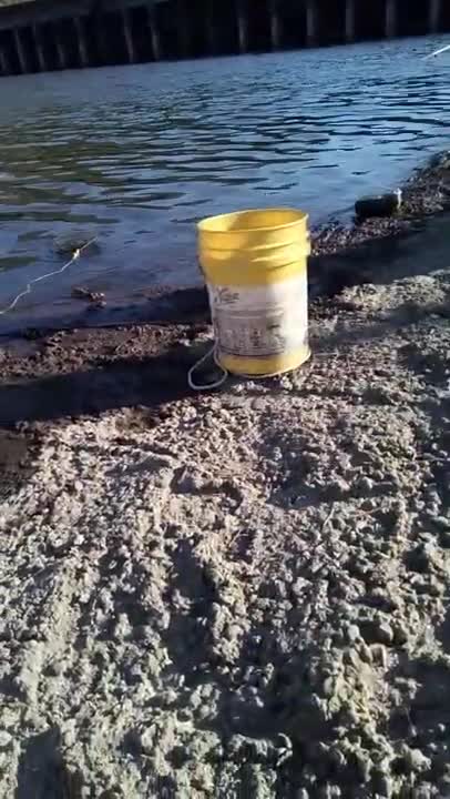 Went Fishing Below the Dam and Caught Bluegill