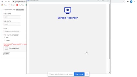 ReCAPTCHA Error: Invalid API parameter(s). Try reloading the page. Fixed