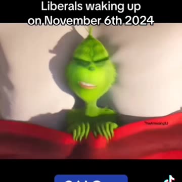 LIBERALS 2024
