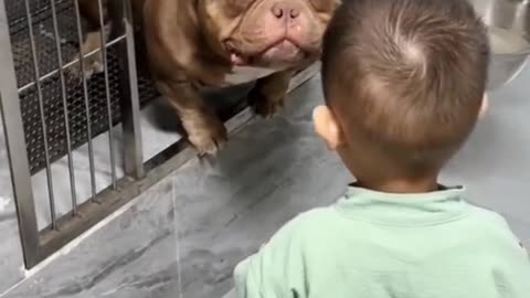 That's a good boy 🐕