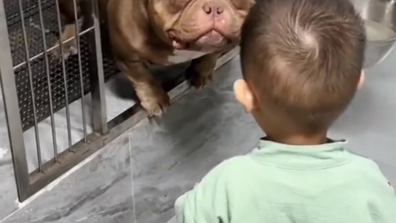 That's a good boy 🐕