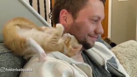 Ginger Kitten loves her newest adoptive father 💓💓