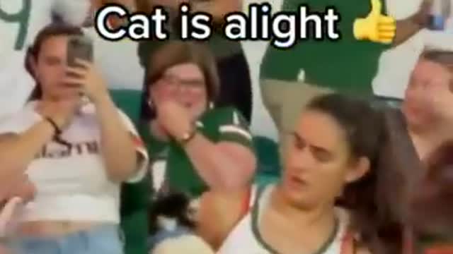 Cat took a wild fall at home the miami football game