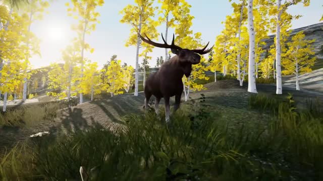 Hunting Simulator Official Gameplay Trailer