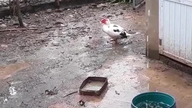 it's raining outside