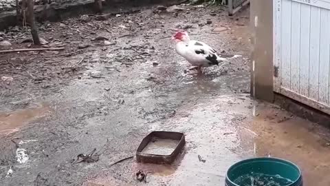 it's raining outside