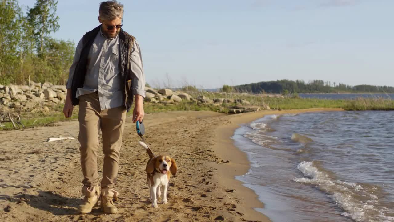 Cheerful middle aged man in sunglasses smiling and looking at his adorable beagle dog