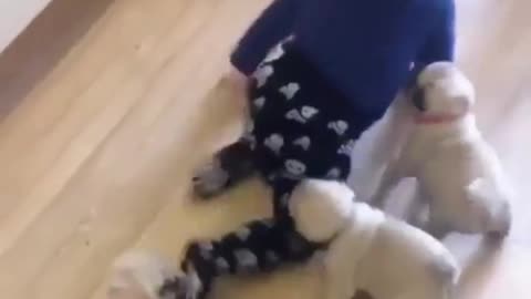 baby and dog race