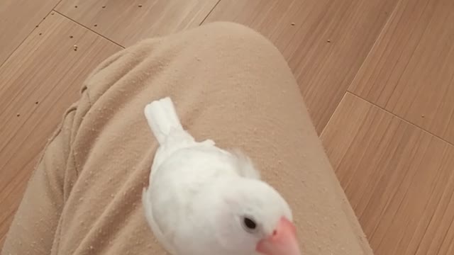 「くーは、ここにいるよ」