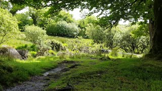 Rode wireless Go . Distance test at a riverside wildcamp