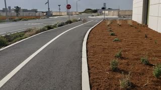 Tumbleweed using the crosswalk