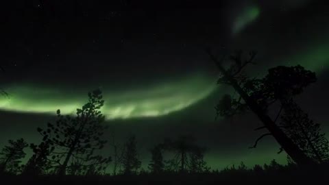 Northern Lights