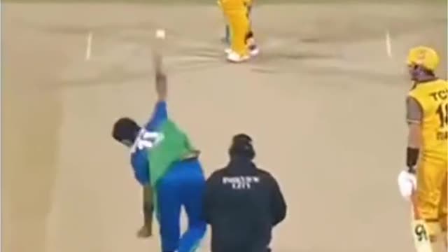 fans-video cricket lovers-video #cricket #cricketlover