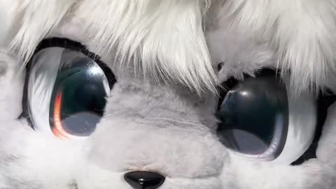 Furry Douyin #46