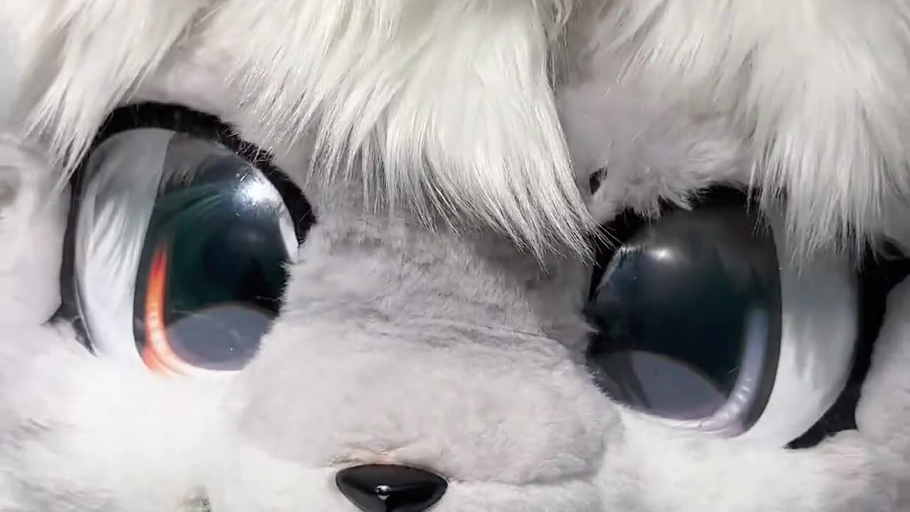Furry Douyin #46
