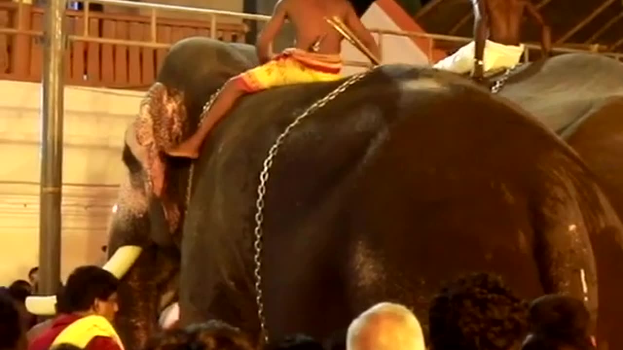 Pampady Rajan