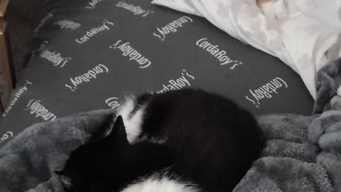 Oreo&Twinkie 2022