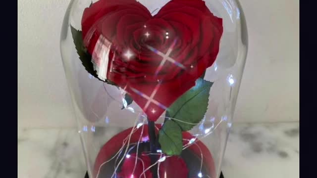 أعز الناس
