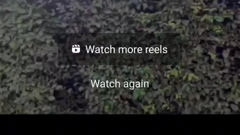 If You Are Not Talking About This