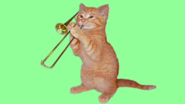 music cat background