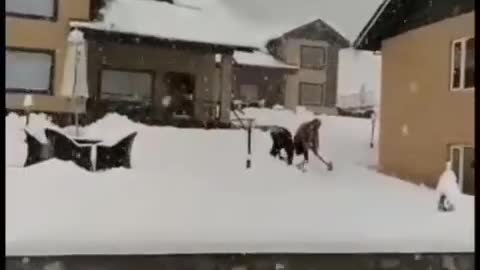 Kashmir Gulmarg first snowfall vadio