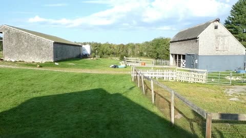 On A Farm