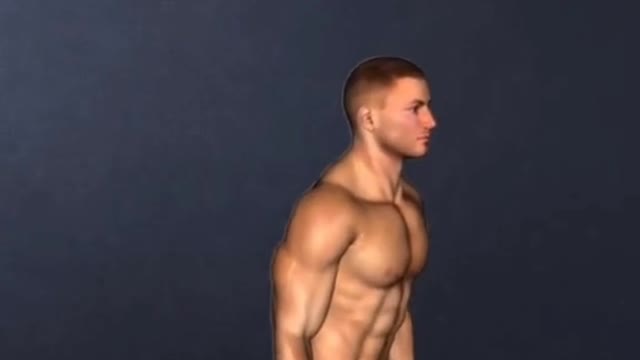 PERNAS