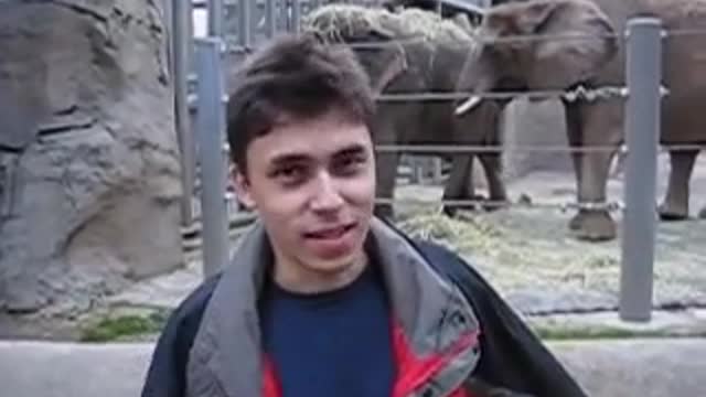 Meet me at the zoo