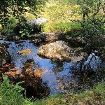 Dartmoor. River sounds
