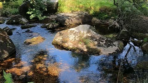 Dartmoor. River sounds