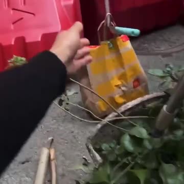 Food Delivery In The Endless Lockdowns In Shenzhen....