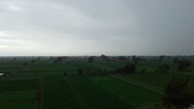 Winter is now in the Egyptian countryside