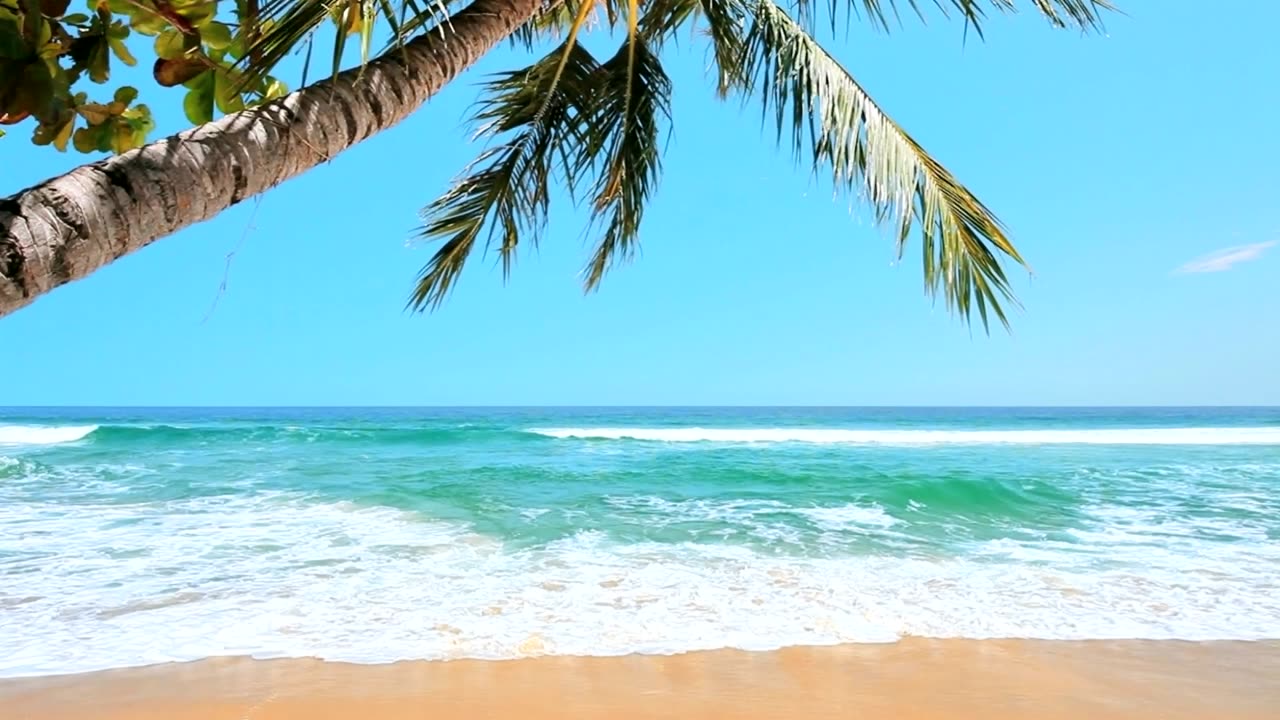 Caribbean Beach With Music & Waves