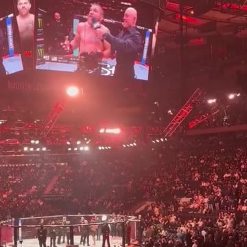 @PapiTrumpo - LET'S GO!!!🇺🇸🐿️🐿️🐿️#PNUT #DOGE