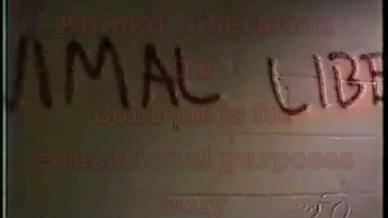 Animal Liberation Tv presents...Animal Rights "Extremism"? (A short film).