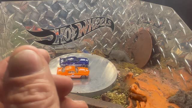 Hot Wheels Blister pack ripper 2021 22 Mustang,s and more