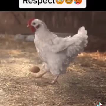 what was your favourite clip