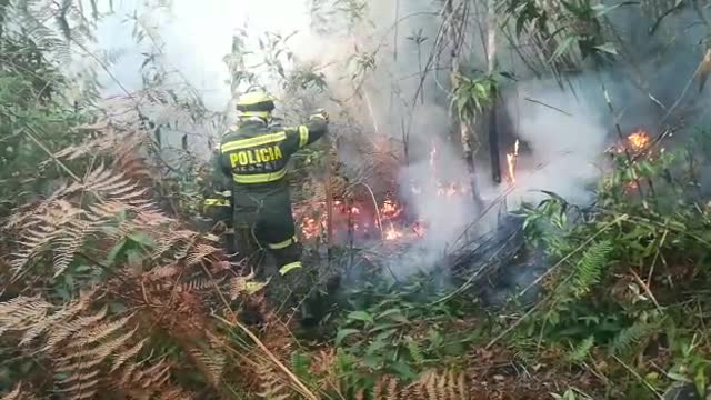 Policía controla incendio en la vía a La Mesa