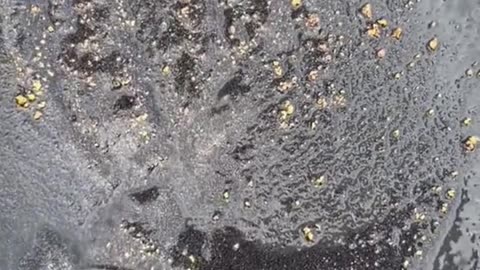 Gold explosion excavator