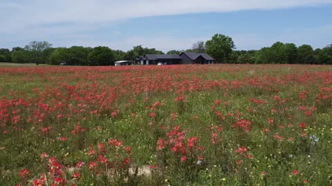 Painted Pasture, April 2024