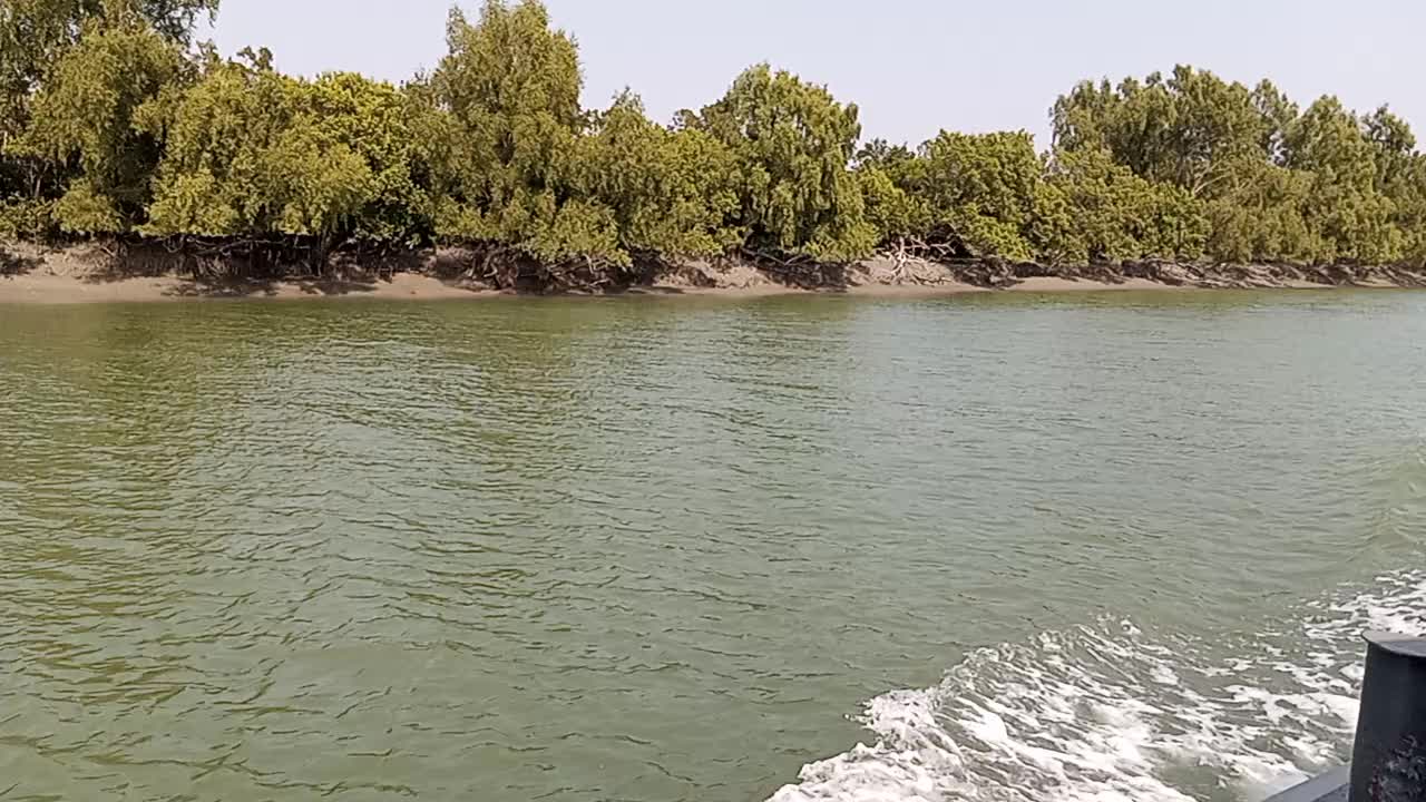 Sundarban, Bangladesh.