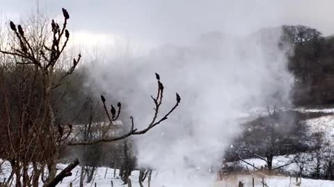 Tiny Snow Tornado