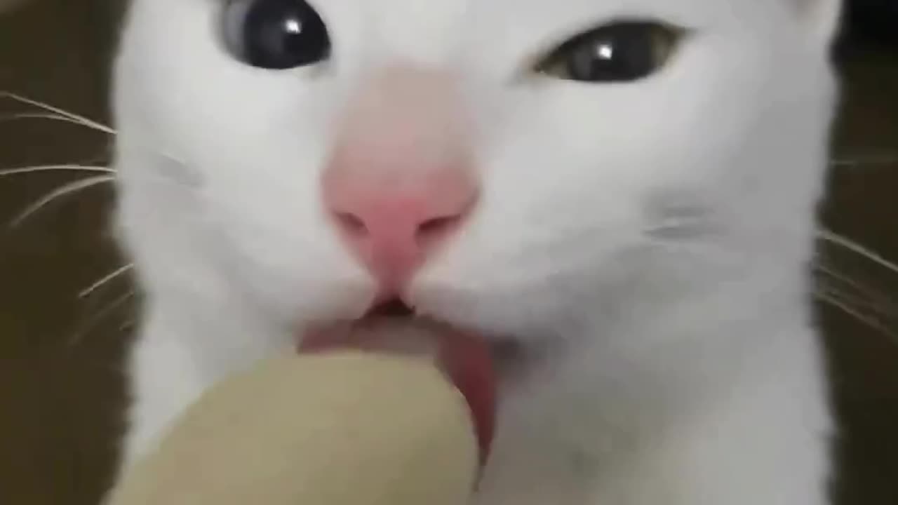 Licking Banana