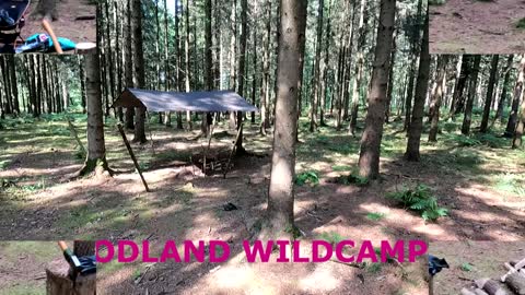 Woodland wildcamping videos 25th to 27th July 2021