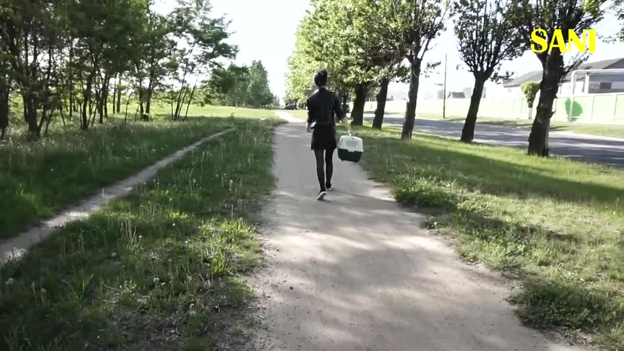 Спасение котика