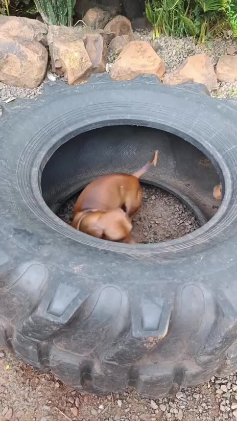 Some take cardio exercises more seriously than others