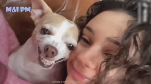 🤣Funny Dog Videos 2020🤣 🐶 It's time to LAUGH with Dog's life