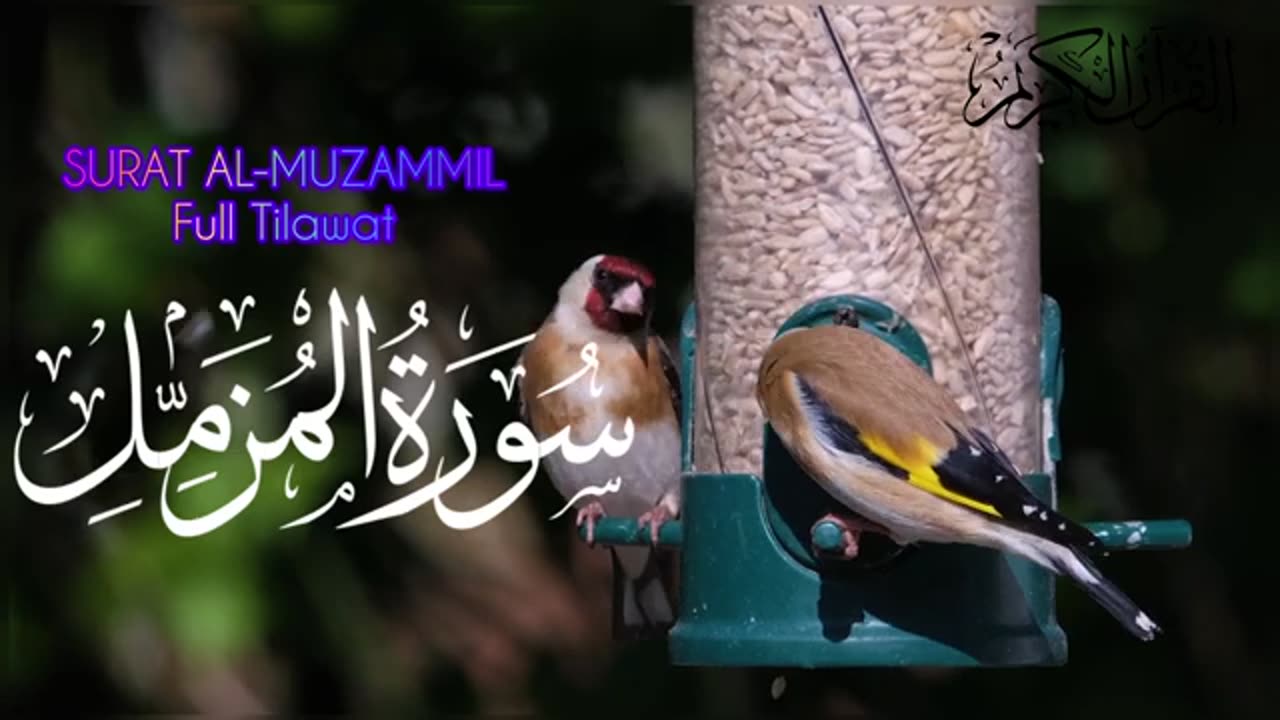 Surah Al-Muzammil Beautiful Recitation