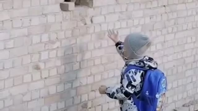 Friendly cat and boy