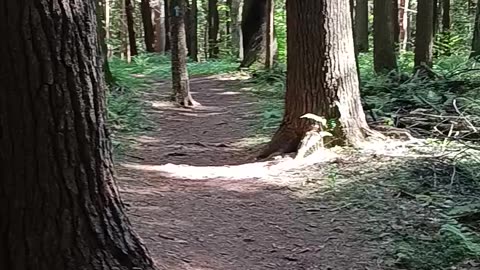 Place I walk